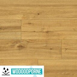 Panele winylowe LVT CLASSEN PRO NATURE CERAMIN 62538 SOLEDAD KL 23-34 4 mm