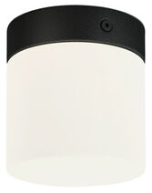 Lampa sufitowa łazienkowa CAYO G9 40W IP44 śr. 10cm czarny 8055