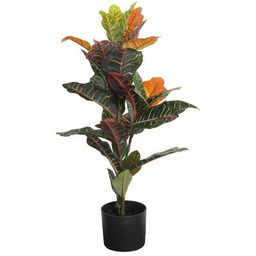 Sztuczny kwiat w doniczce KROTON 75 cm