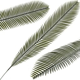 LIŚĆ PALMY NA PIKU 70 CM