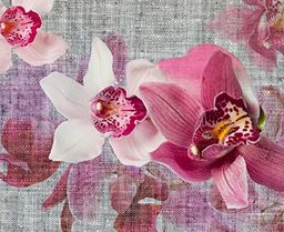 Fototapeta FTNxxl1148, orchidee