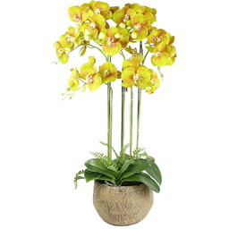 Leaf Design UK Realistyczny sztuczny kwiat orchidei ekspozycja w doniczce