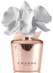 Dyfuzor zapachowy Porcelanowy MINI - Sensual Camelia - Zmysłowa Kamelia 35ml