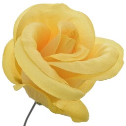 RÓŻA WYROBÓWKA GŁÓWKA PĄCZEK