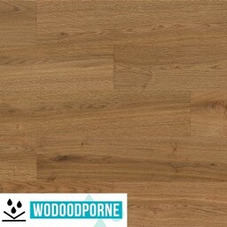 Panele winylowe SPC BARLINEK DĄB GRACE KL 23-33 5,2 mm