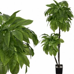 DRZEWKO MANGO KOMPOZYCJA 170 CM