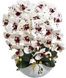 KOMPOZYCJA KWIATOWA STORCZYK 3 PĘDY W DONICZCE ŁÓDKA