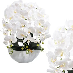 KOMPOZYCJA KWIATOWA STORCZYK 3 PĘDY W DONICZCE ŁÓDKA