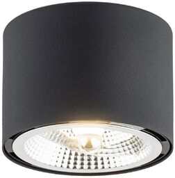 Clevland 4691 BZ - Argon - plafon 1 pł.