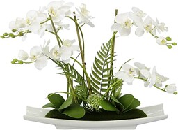 Flair Flower Sztuczny kwiat motyl orchidea w misce z ceramiki, sztuczne kwiaty, orchidea Phalaenopsis z doniczką ze sztucznej rośliny na wesele, dekoracja, biała, 50 x 55 x 14 cm