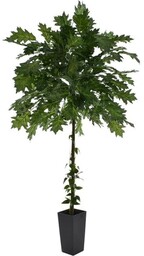 DRZEWKO Z LIŚCI DĘBU 150 CM