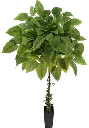 DRZEWKO Z LIŚCI TOPOLI 160 cm