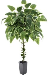 DRZEWKO Z LIŚCI HORTENSJI 140 CM