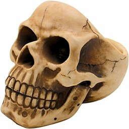 Dekohelden24 Organizer z kamionki, z uchwytem na okulary i półką, w kolorze beżowym, wymiary dł./szer./wys. 16 x 20 x 17 cm, 20 cm