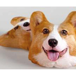 Greno Poduszka przytulanka 40x40 Piesek Corgi ruda biała 457