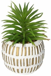 Dekoracja Sukulent w doniczce 13cm, 8 x 8 x 13 cm