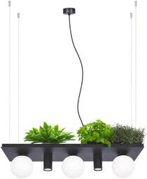 Lampa wisząca kwietnik PLANT 5555 - Zuma Line