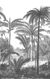 Fototapeta mural dżungla tropikalna Grandeco Orom 2 A58201 159x280 cm