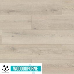 Panele winylowe SPC WILD WOOD BBL DĄB KREMOWY KL 23-34 6 mm