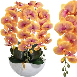 KOMPOZYCJA KWIATOWA STORCZYK 3 PĘDY W DONICZCE ŁÓDKA