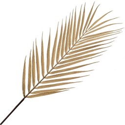 LIŚĆ PALMY GAŁĄZKA