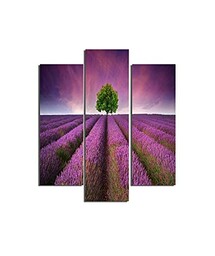 Homemania Fioletowy obraz 3-częściowy-natura i krajobrazy-przez salon, sypialnia-wielokolorowe, 57 X 0,3 X 60cm-HM203MDF45, MDF