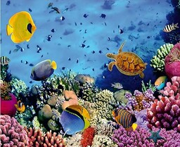 Fototapeta FTNxxl0375, piękny świat