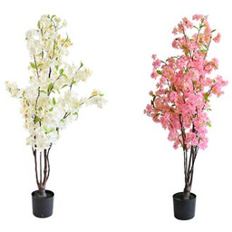 Jabłoń w doniczce 115 cm biały / różowy