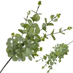 EUKALIPTUS GAŁĄZKA DEKORACJA LIŚĆ