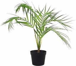 Leaf Mini sztuczna palma, naturalna Areca 50 cm