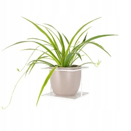 Kwietnik na ścianę Flora XL wiszący metalowy biały na duże kwiaty rośliny