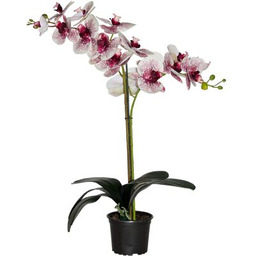 Storczyk sztuczny premium 18 kwiatów 80 x 12 cm