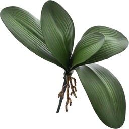 LIŚĆ ŁODYGA STORCZYKA 28 CM