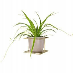 Kwietnik na ścianę Flora XL wiszący metalowy na duży kwiat półka złoty