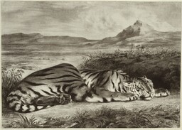 Eugène Delacroix Royal Tiger - plakat Wymiar do wyboru: 70x50 cm