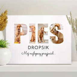 Obraz drukowany na płótnie z kolażem zdjęć 30x40 cm dla psiarza na parapetówkę