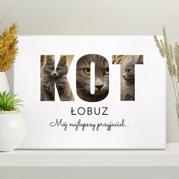 Obraz drukowany na płótnie z kolażem zdjęć 30x40 cm dla kociary na paraoetówkę