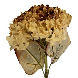 Sztuczna Hortensja Suszona 47 cm B Clayre & Eef