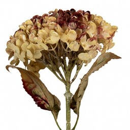 Sztuczna Hortensja Suszona 47 cm D Clayre & Eef