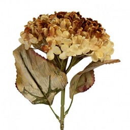 Sztuczna Hortensja Suszona 47 cm F Clayre & Eef