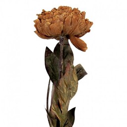 Sztuczna Hortensja Suszona 65 cm A Clayre & Eef