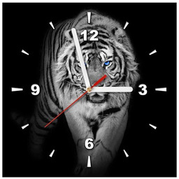 30x30cm Zegar ścienny Tiger in the dark obraz malowane