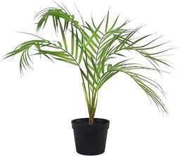 Leaf LEAF-7084 50 cm sztuczna palma roślina