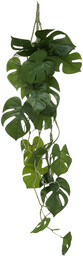 Atmosphera Sztuczna roślina MONSTERA, wisząca, 85 cm