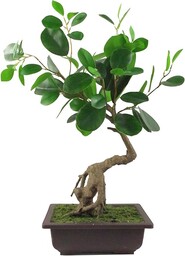 Leaf Sztuczne małe drzewko bonsai