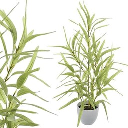 BAMBUS W DONICZCE KOMPOZYCJA 60 cm (wierzba)