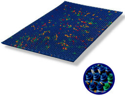 Mata do masażu Lyapko 6,8 - granatowy