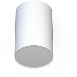 Lampa sufitowa/spot POINT PLEXI WHITE L śr.13cm 6528