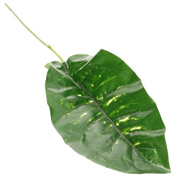 Liść Bananowca, 18 x 35 x 67 cm