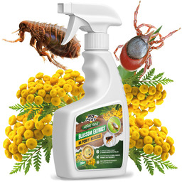 Wrotycz na kleszcze i pchły środek Blossom Extract No Pest Spray 750ml